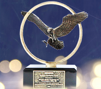 EM-Products-siemens-eagle-awards